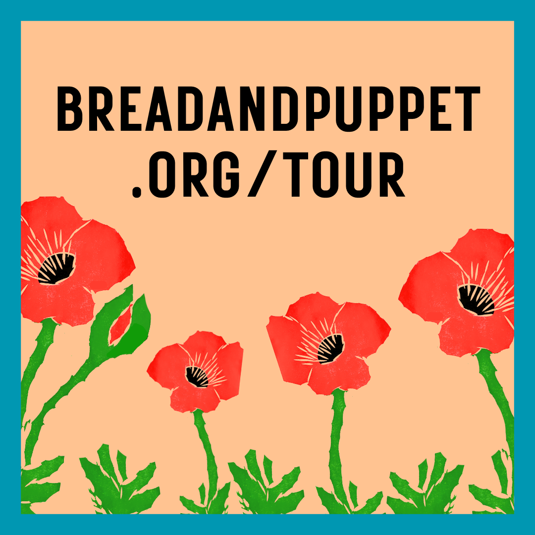Campaign cover image for Bring Bread and Puppet Theater to Ypsi!
