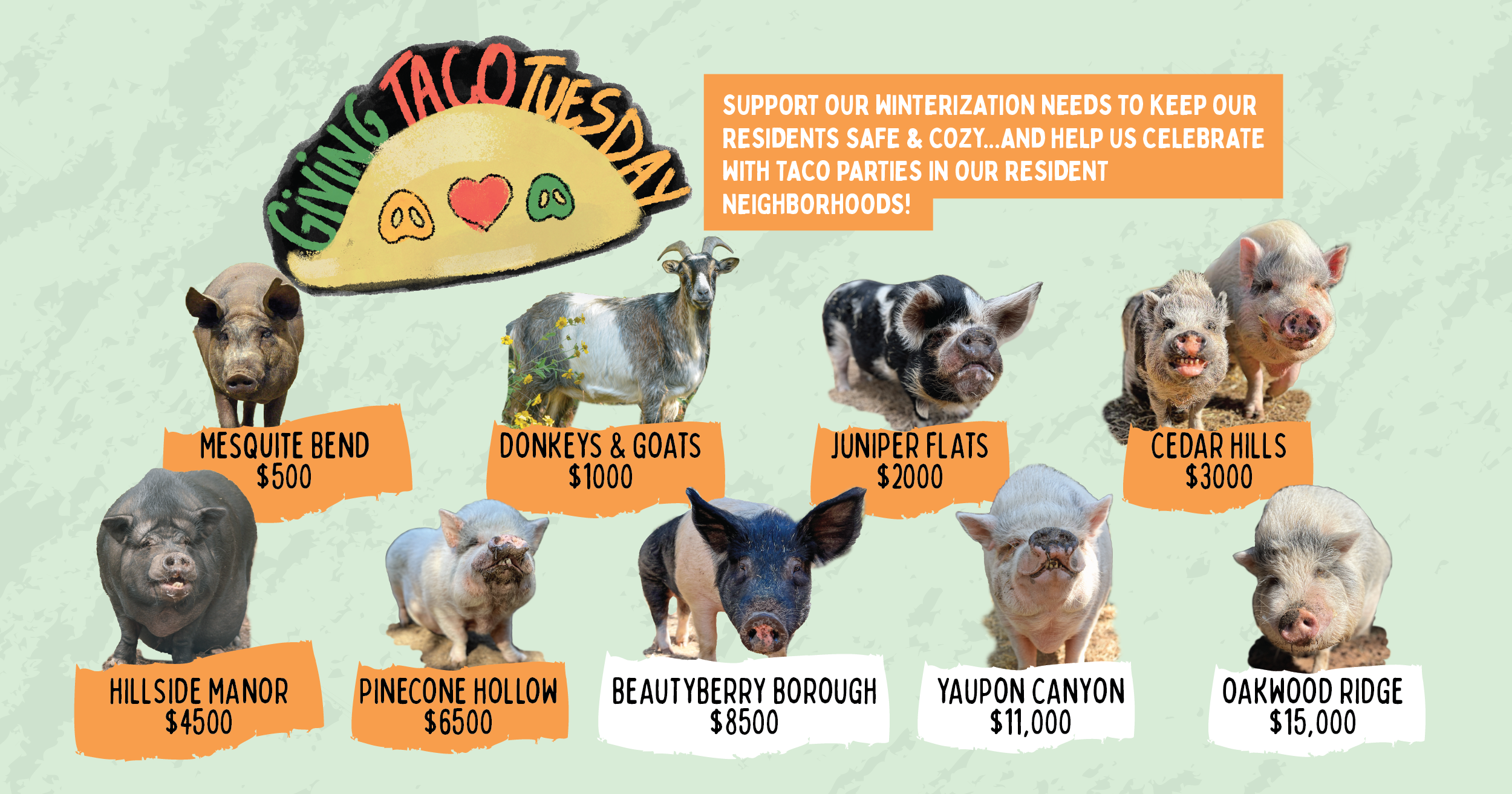 Campaign cover image for Giving Taco 🌮 Tuesday