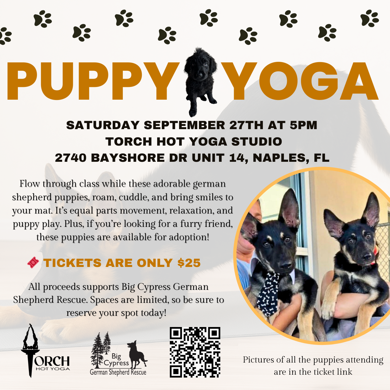 Campaign cover image for Puppy Yoga