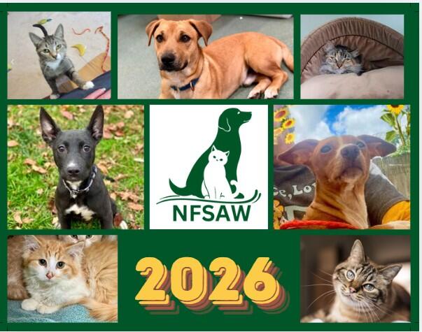 Campaign cover image for 2026 NFSAW Calendar Order