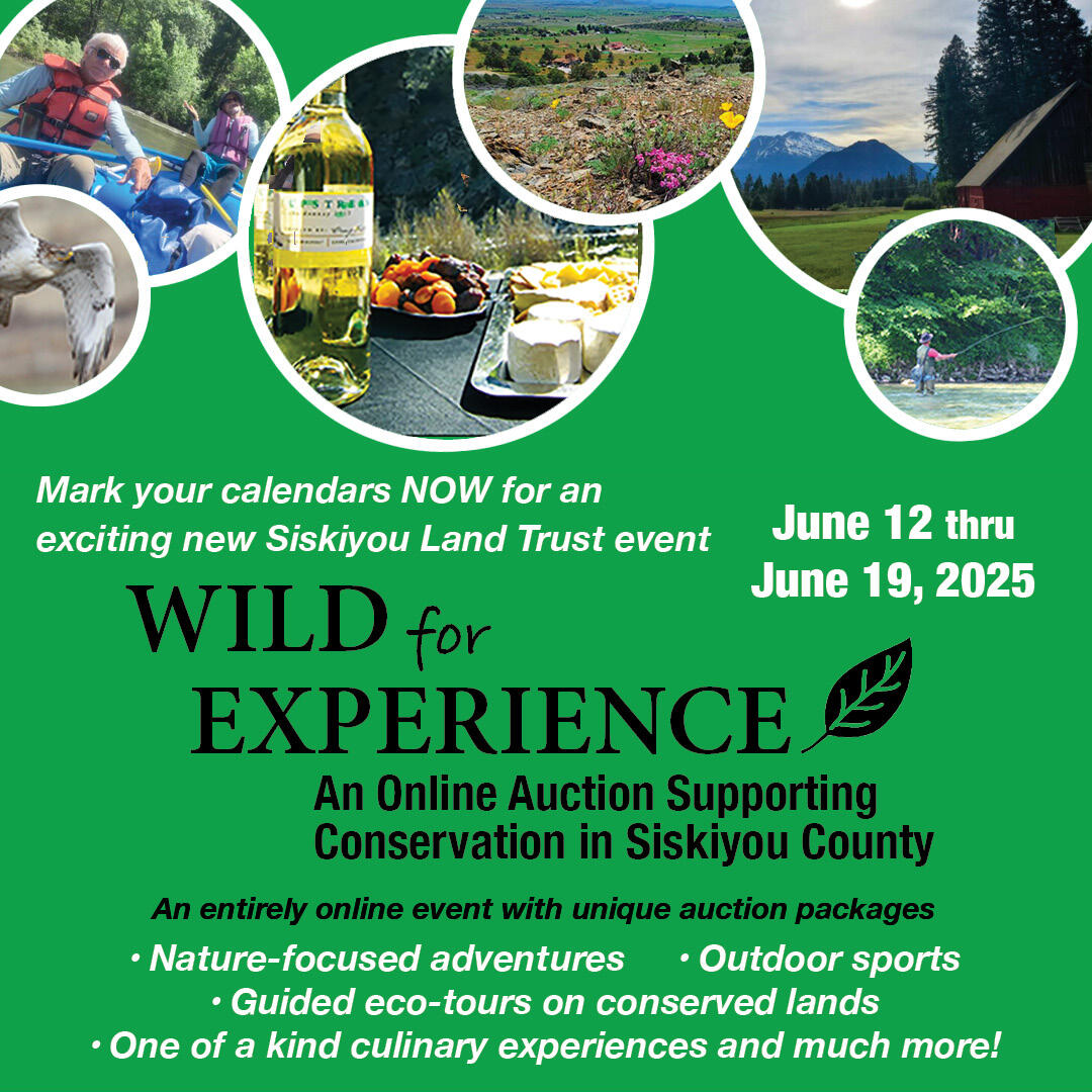 Campaign cover image for Wild For Experience