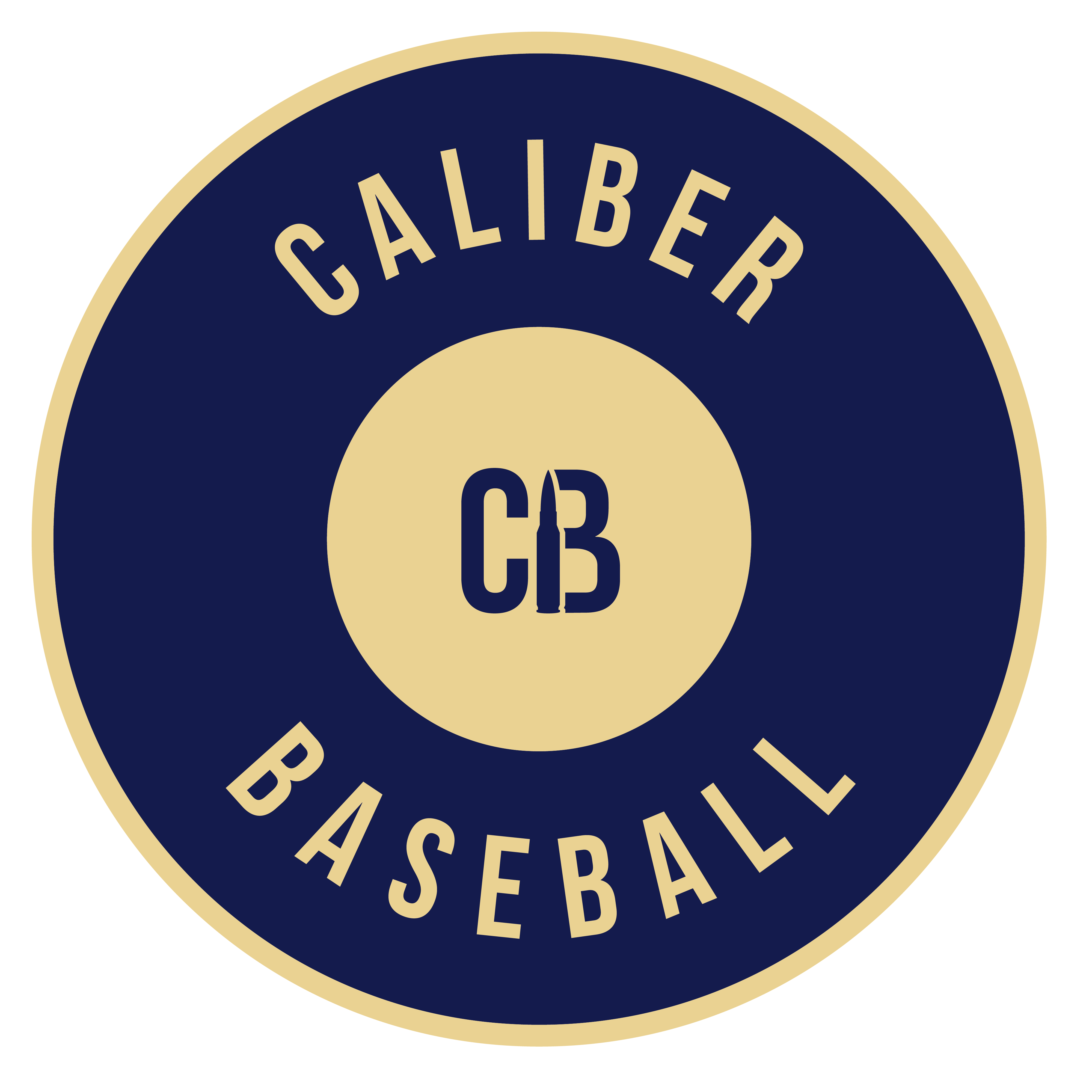 Campaign cover image for Caliber Baseball Donations
