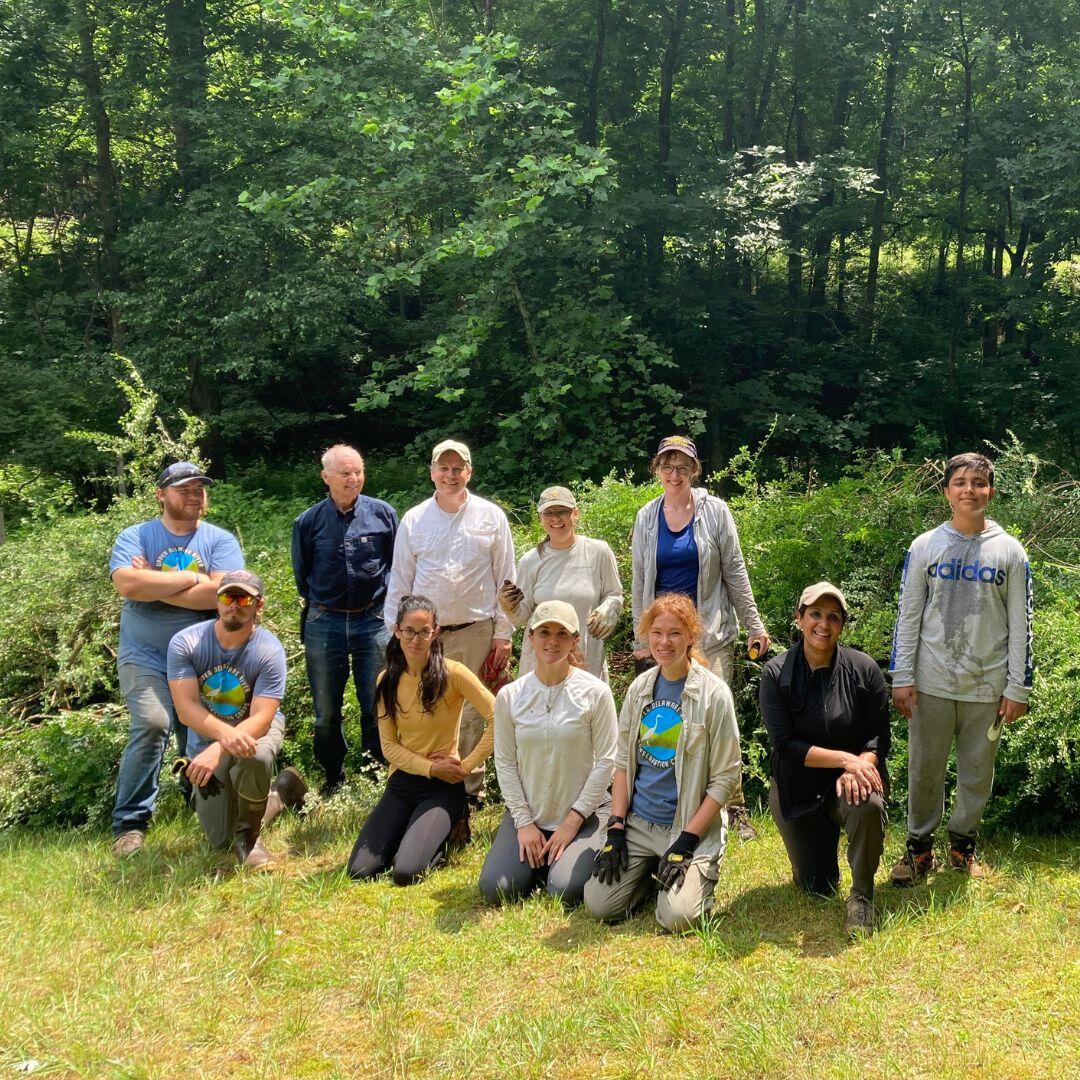 Campaign cover image for Catskills Invasive Species Intern & Early Career Networking Event