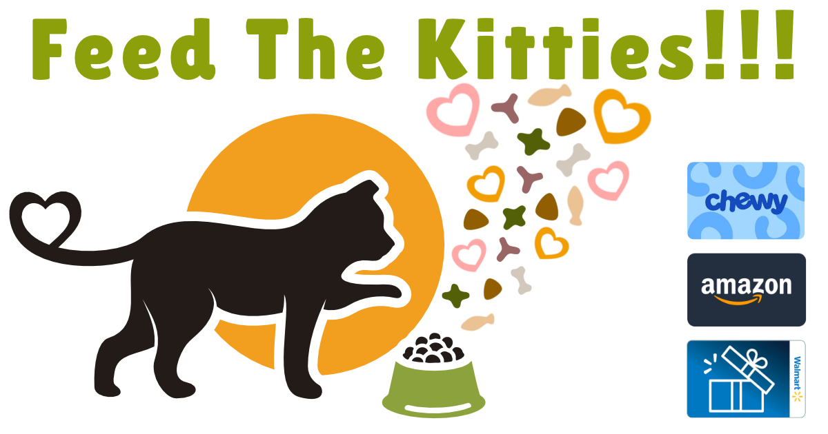 Campaign cover image for Feed The Kitties