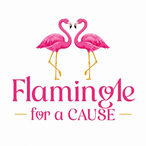 Campaign cover image for Flamingle for a Cause Fest