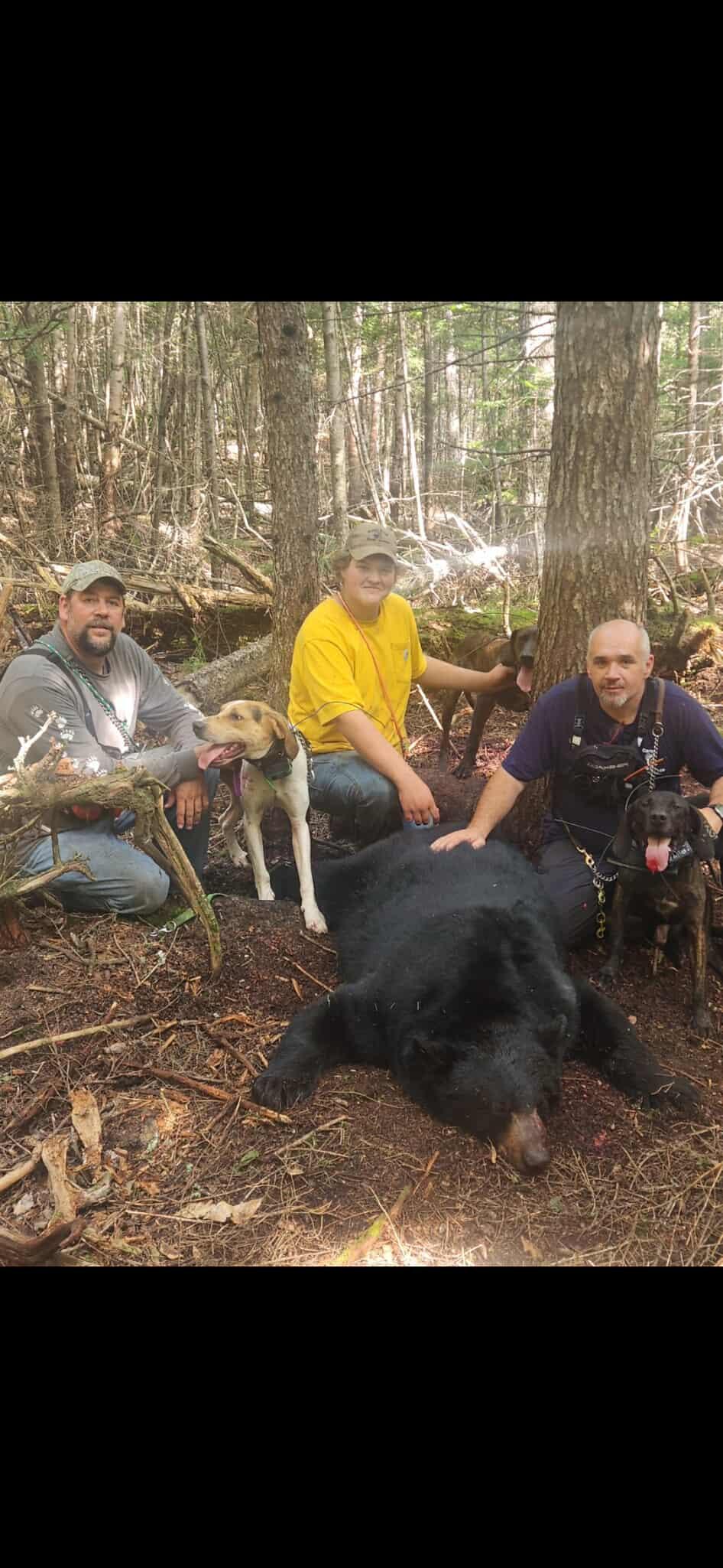 Campaign cover image for 2026 MMK Bear Hunt with Hounds for 2