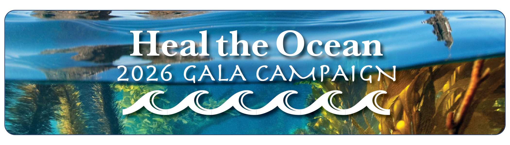 Campaign cover for Heal the Ocean 2026 Gala Fundraising Campaign