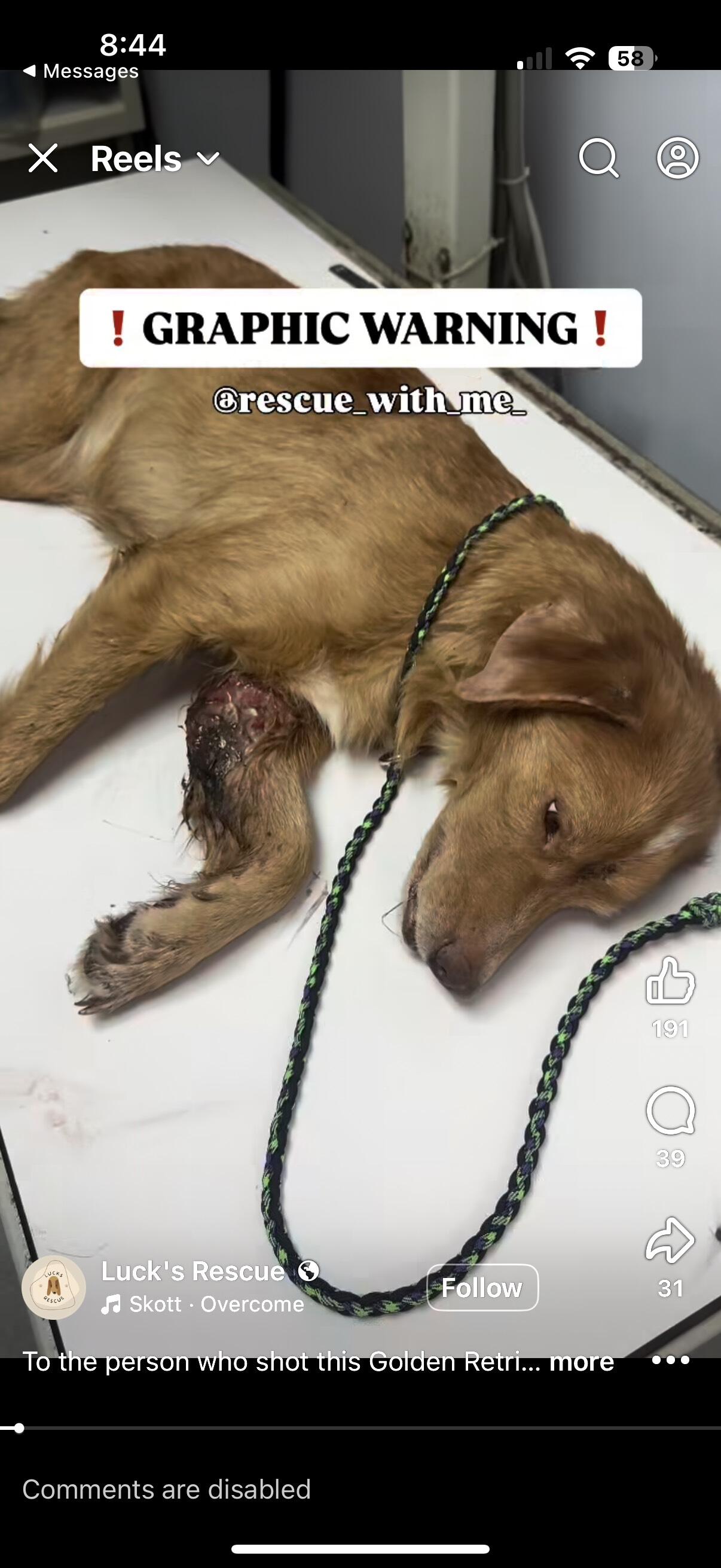 Campaign cover image for Freya Luck