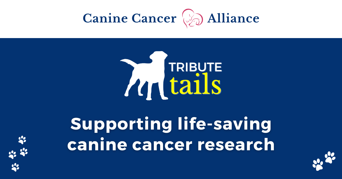 Campaign cover image for Tribute Tails