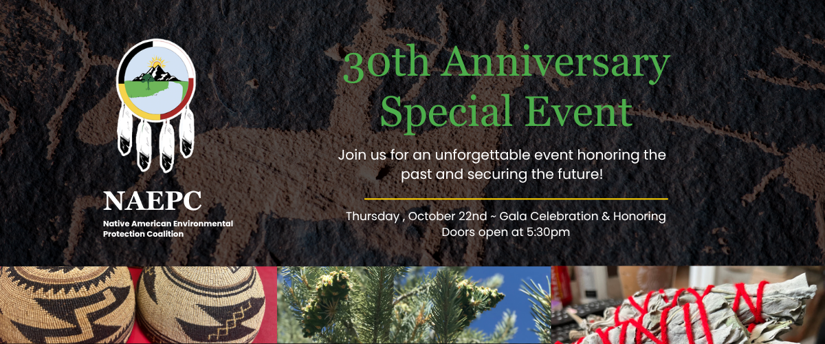 Campaign cover image for NAEPC 30th Anniversary Special Event