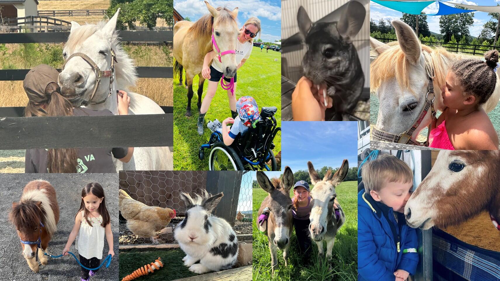 Campaign cover image for Ohana Aloha Animal Feed Drive