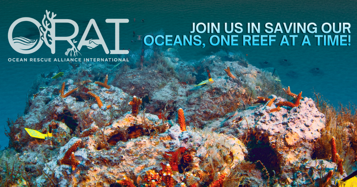 Campaign cover image for Save Our Reefs | Support ORAI