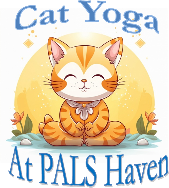 Campaign cover image for Cat Yoga at PALS Haven