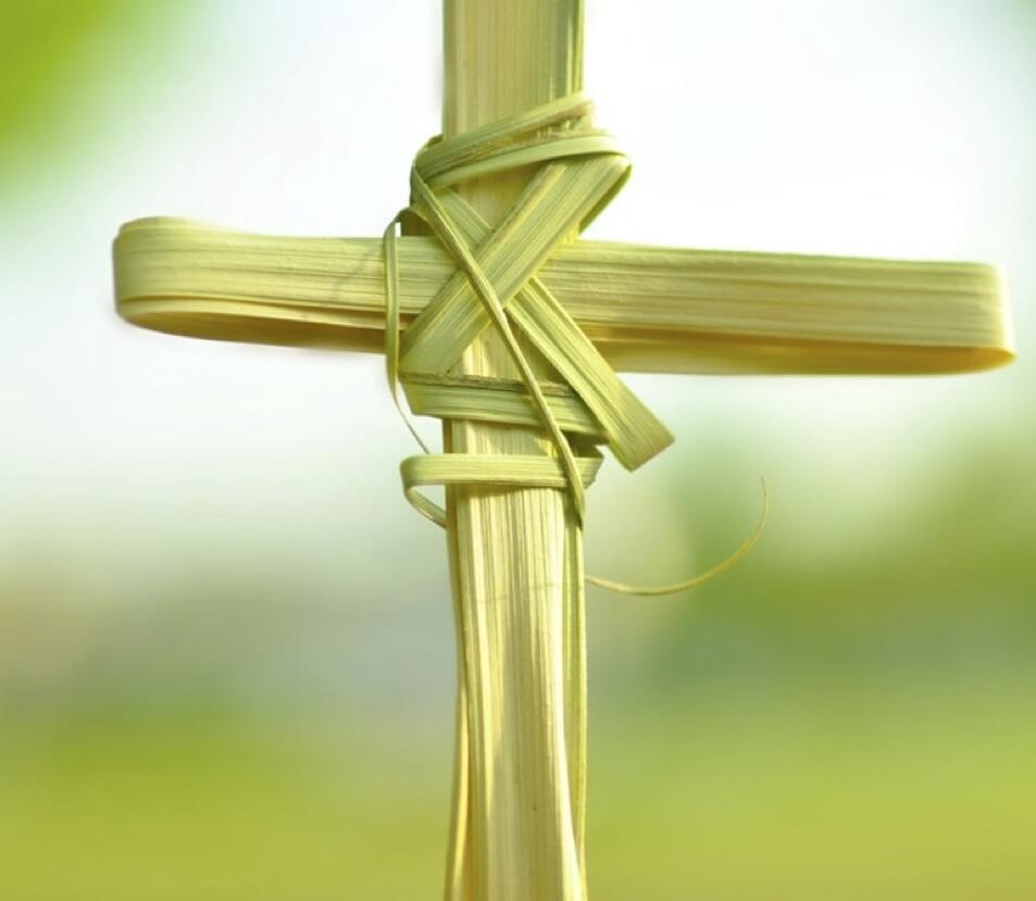 Campaign cover image for Bakaliaro Luncheon - Palm Sunday - April 5, 2026 (Following Second Divine Liturgy)