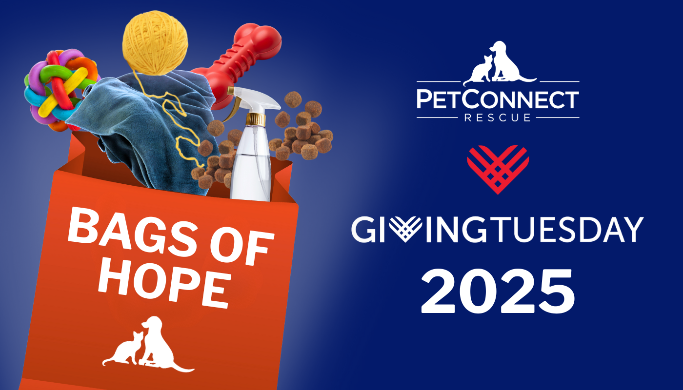 Campaign cover image for Giving Tuesday 2025