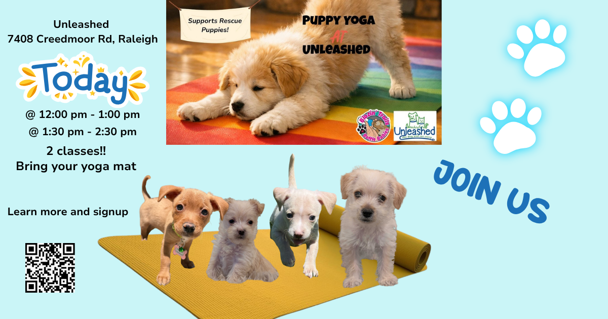 Campaign cover image for Puppy Yoga at Unleashed N. Raleigh 1:30-2:30p 6/28/26 Class