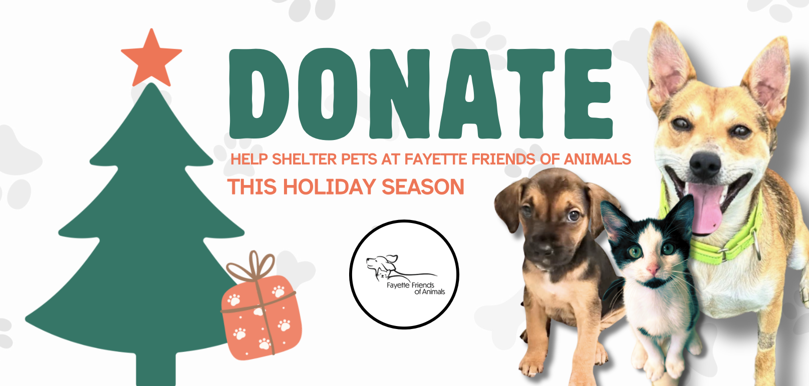 Campaign cover for Make a Shelter Pet’s Holiday Wish Come True 🎄🐾