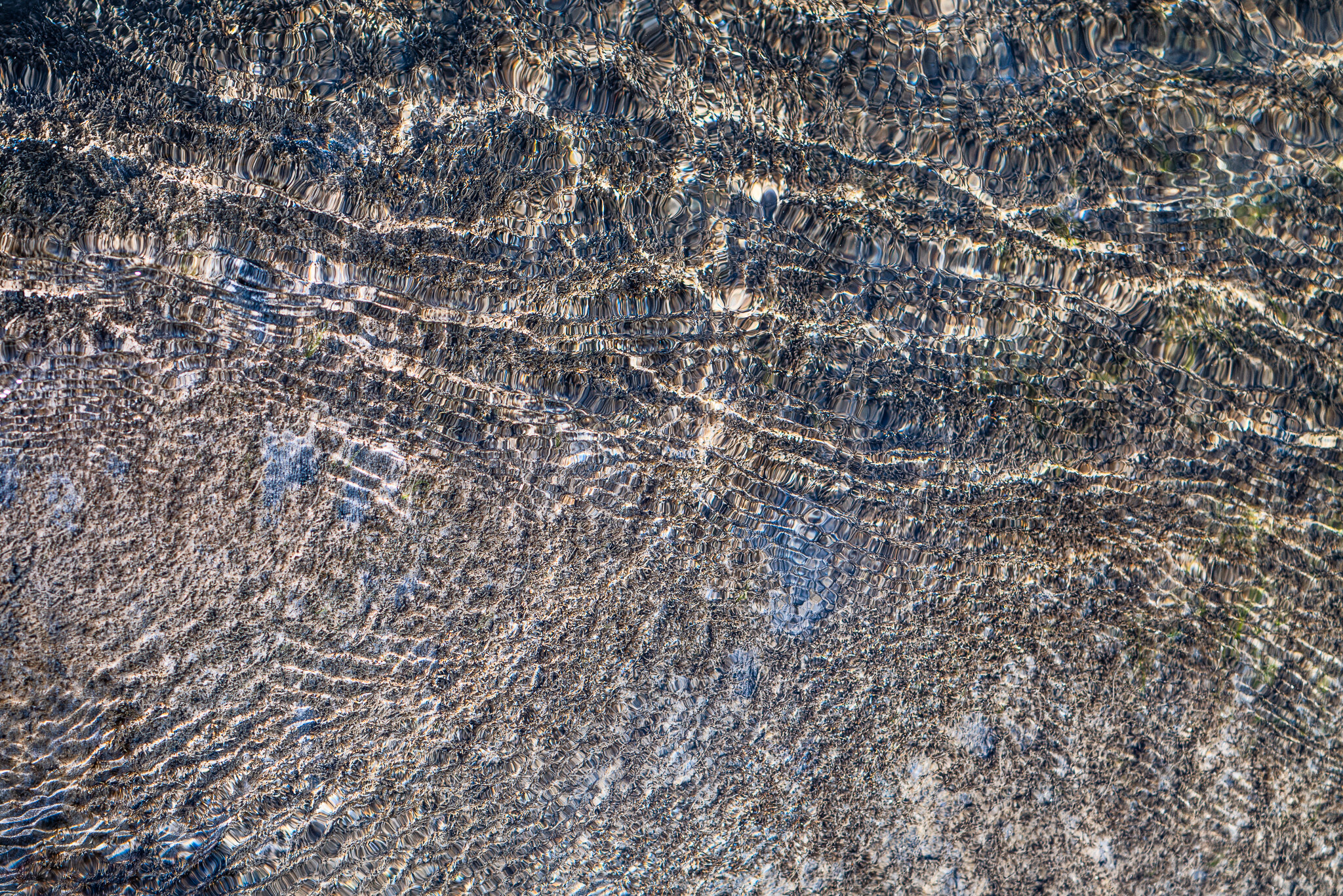 Campaign cover image for Manatee's World