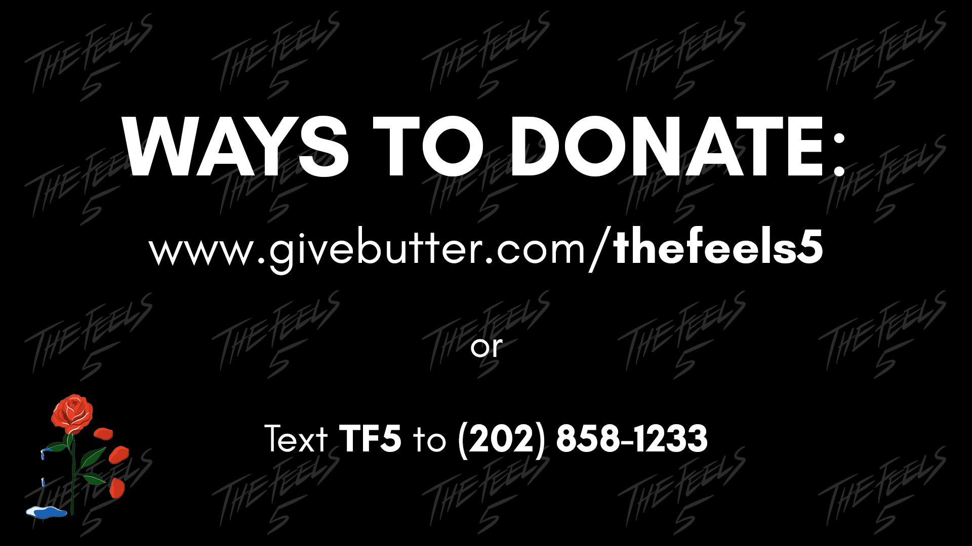 Campaign cover image for THE FEELS 5 VIRTUAL SHOWCASE