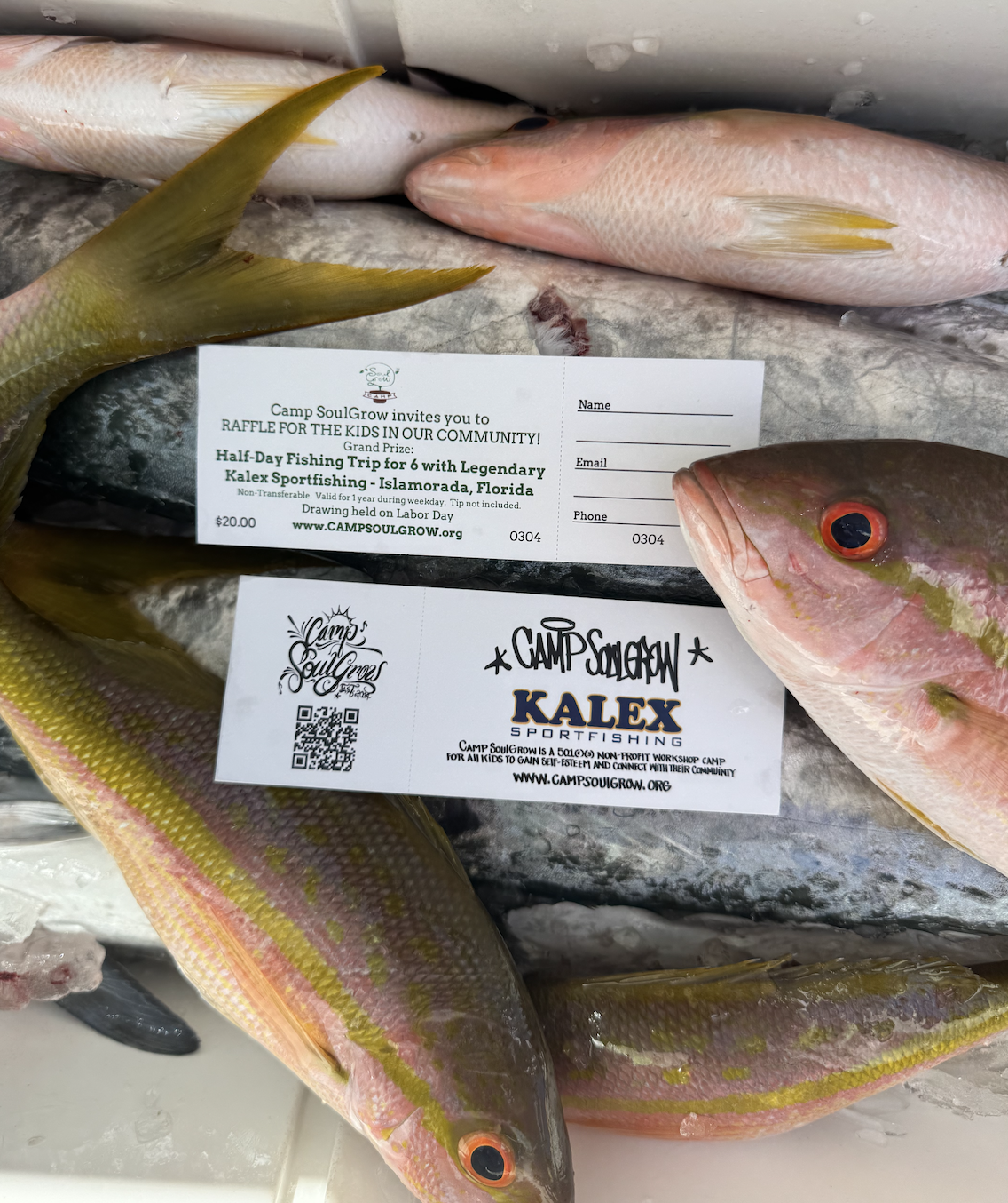 Campaign cover for Camp SoulGrow x Kalex Sportfishing Raffle
