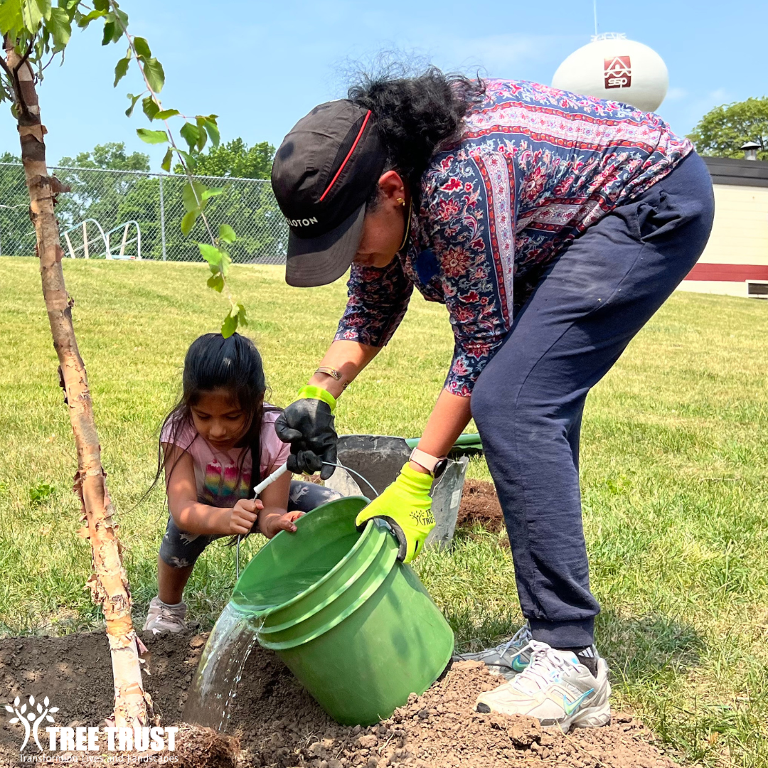 Campaign cover image for 2024 Tree Care with Burns McDonnell