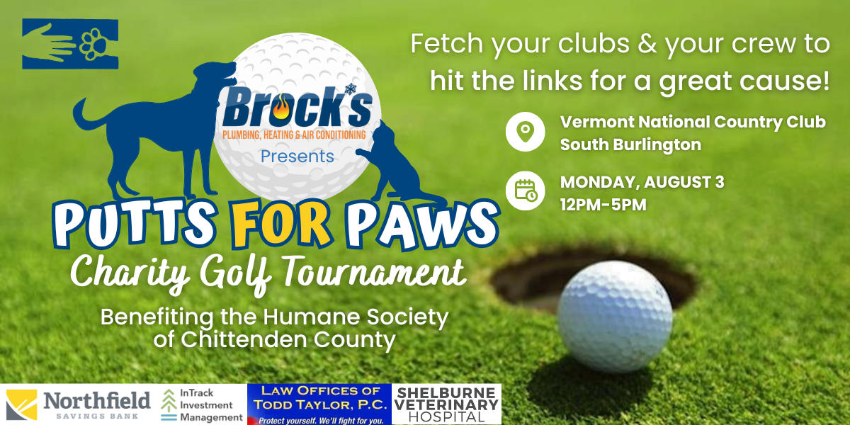 Campaign cover image for Putts for Paws