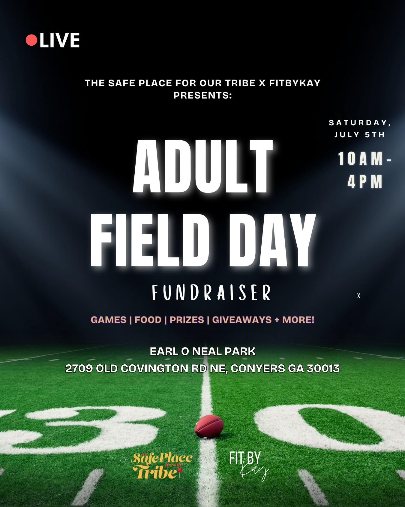 Campaign cover image for Adult Field Day