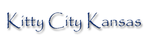 Campaign cover image for October 2026 Kitty City Auction