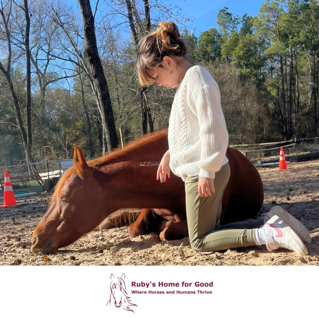 Campaign cover image for Ruby's Home for Good Program Registration Fees