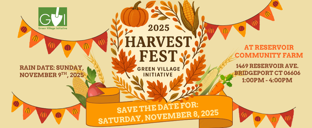 Campaign cover image for GVI Harvest Fest 2025!