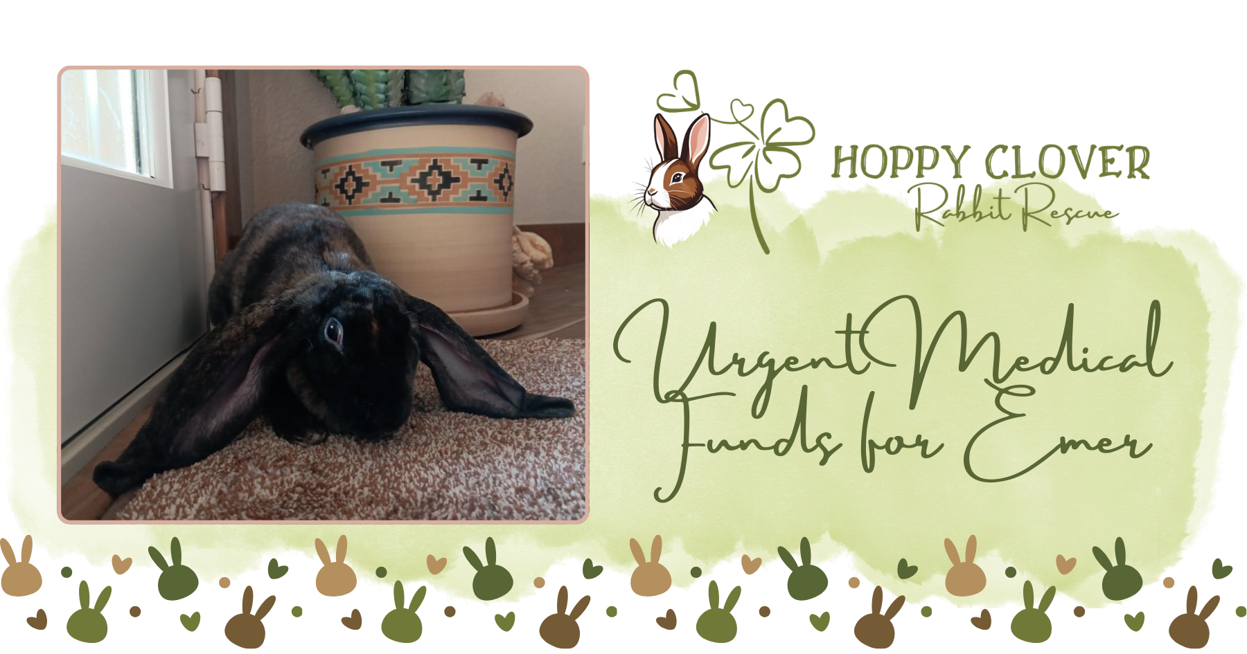 Campaign cover image for Urgent Medical Funds for Emer