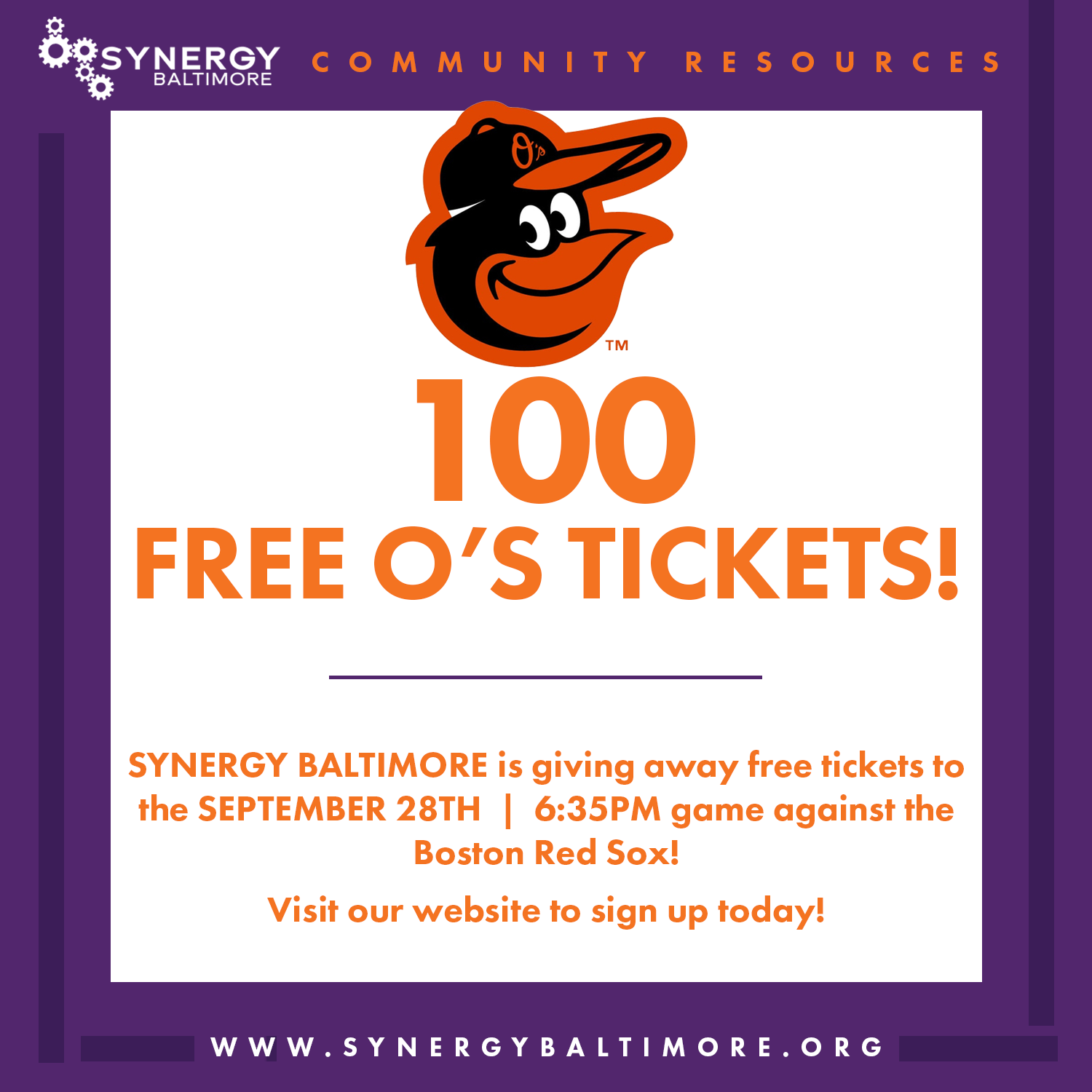 Campaign cover image for Synergy Baltimore: Orioles Baseball Game