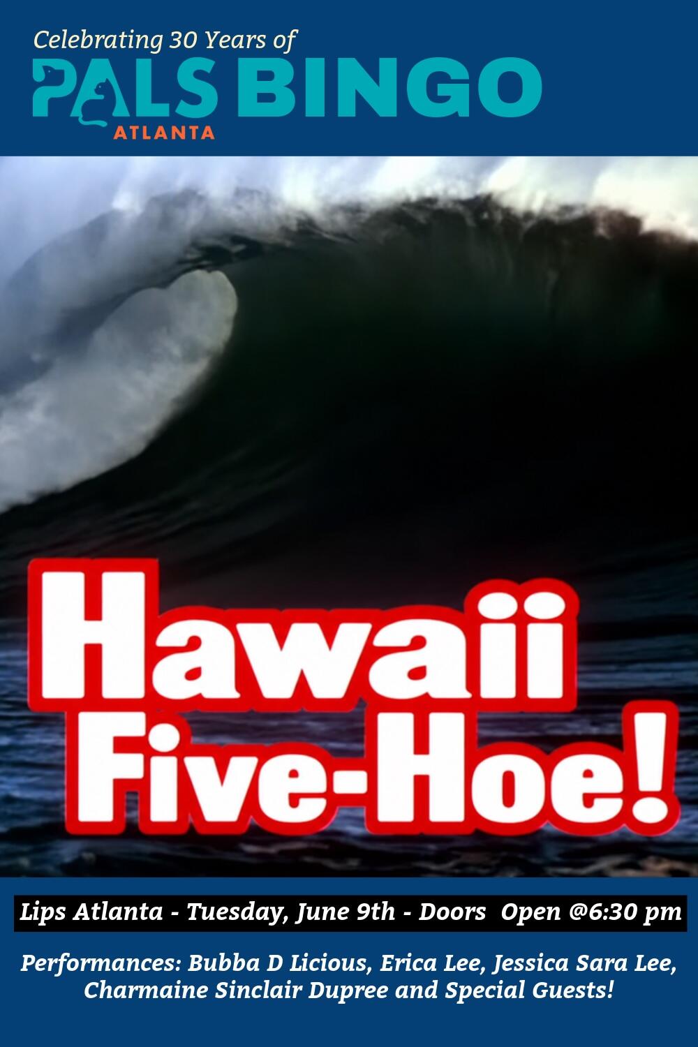 Campaign cover image for Hawaii Five-Hoe Drag Bingo