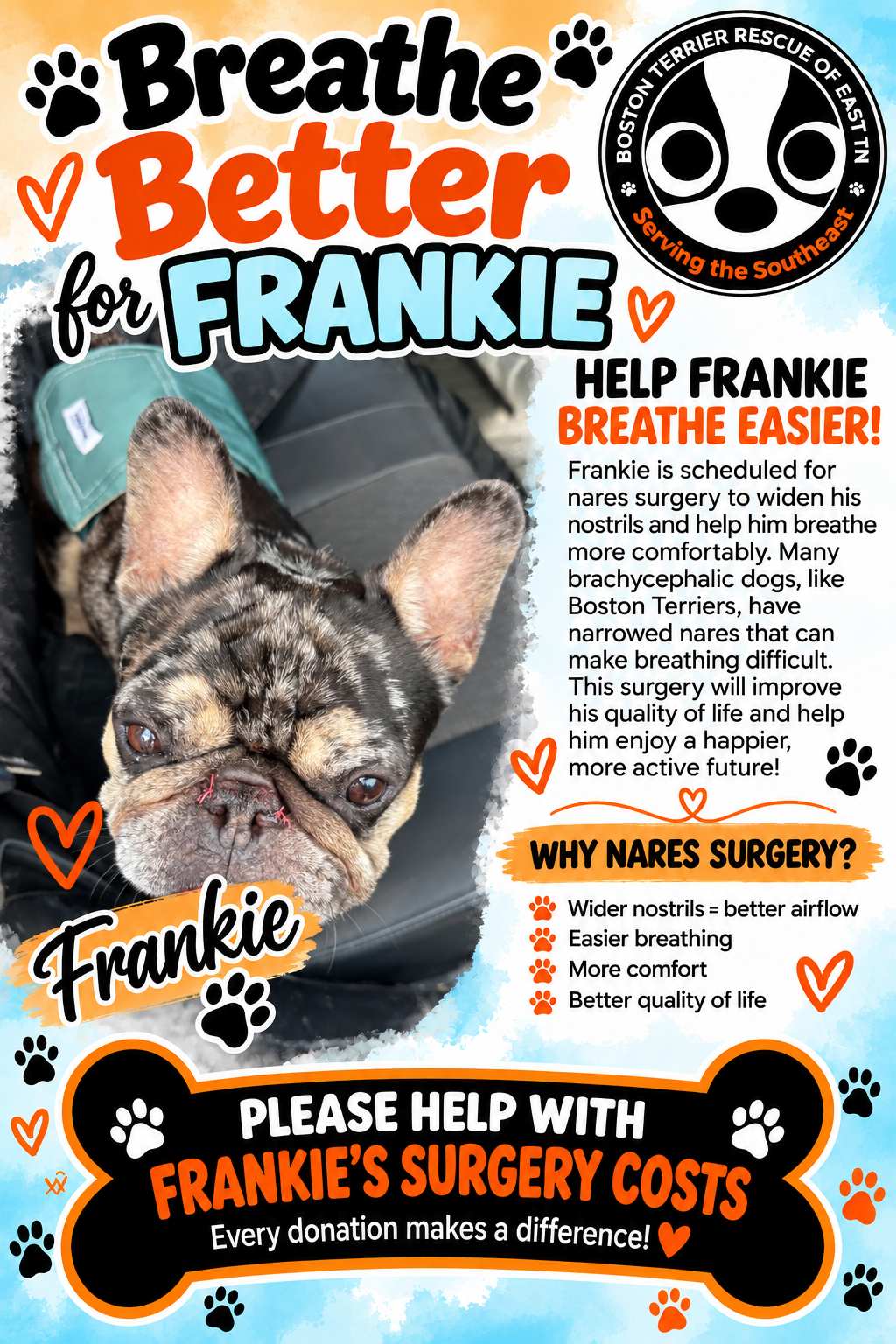 Campaign cover for Breathe Better for Frankie