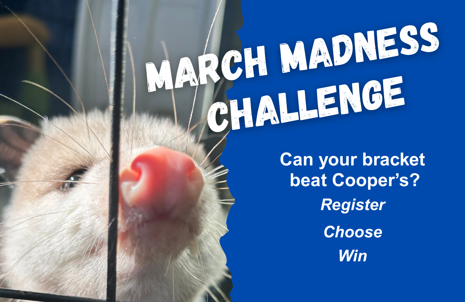 Campaign cover image for Cooper's March Madness Challenge
