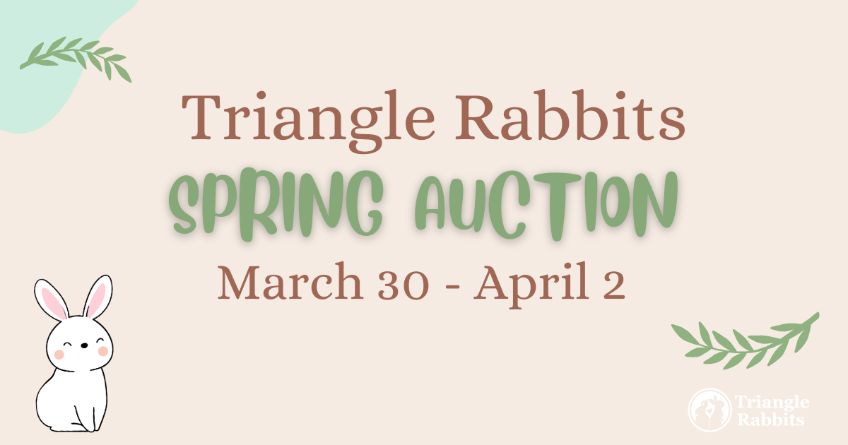 Campaign cover image for Spring Auction
