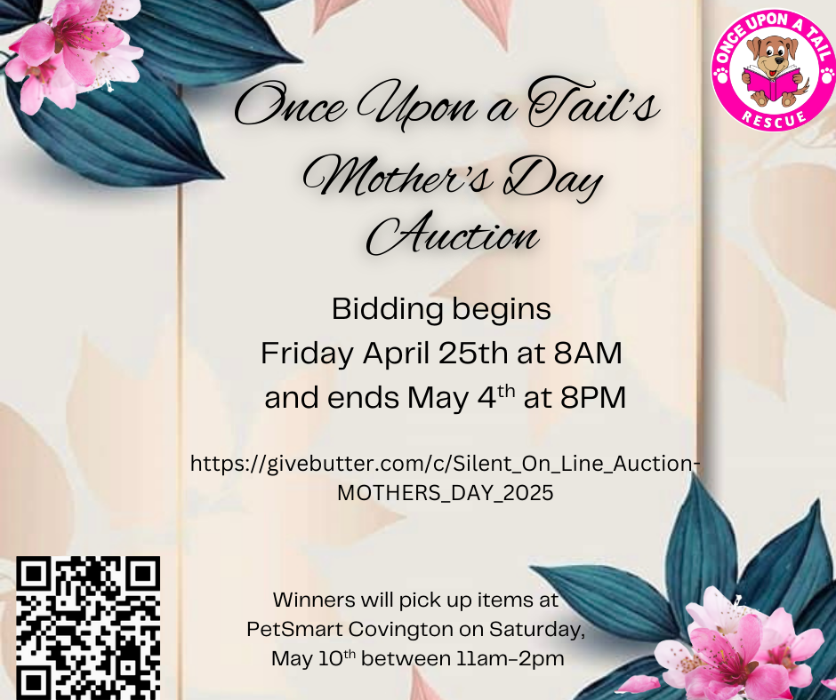 Campaign cover image for Silent On-Line Auction - MOTHER'S DAY 2025