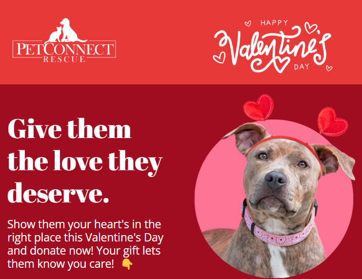 Campaign cover image for Valentine's Day Fundraiser 2025