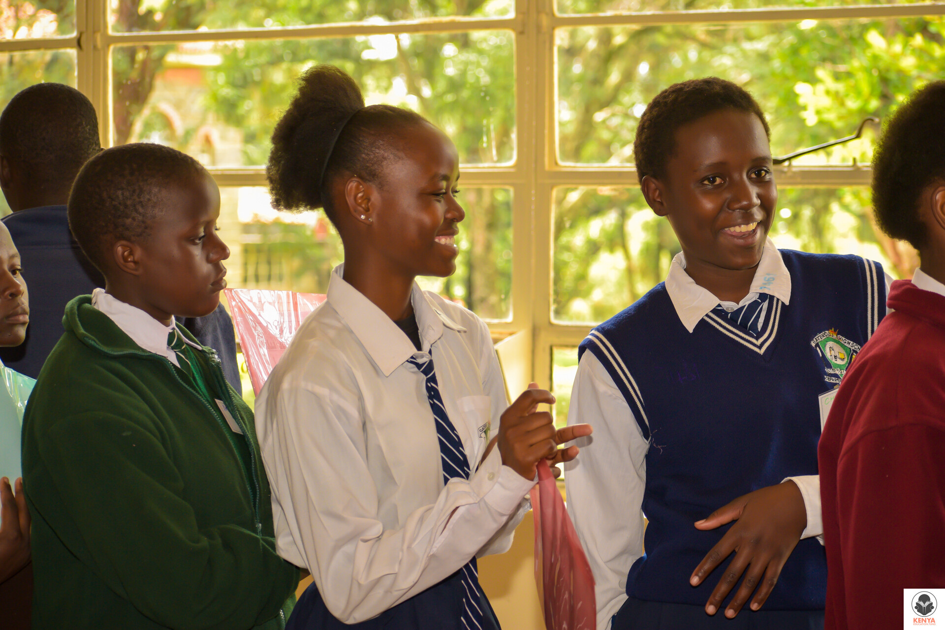 Campaign cover image for Jenny Mollen Scholarship Fund