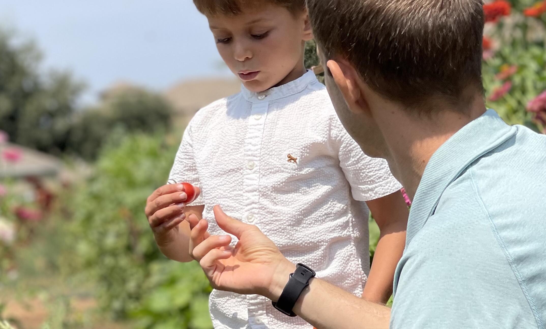 Campaign cover image for Help Increase Access to Fresh Produce