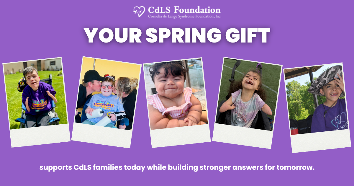 Campaign cover for Spring Appeal 26