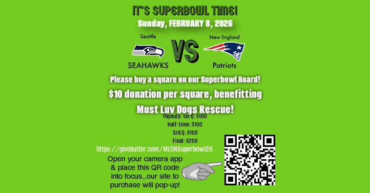 Campaign cover image for SUPERBOWL BOARD 2026