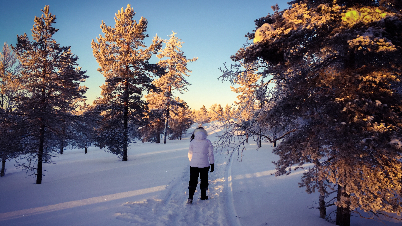 Campaign cover image for Trekking Together: Wonderful Winter Hikes with GirlTREK Cleveland 2-28-26