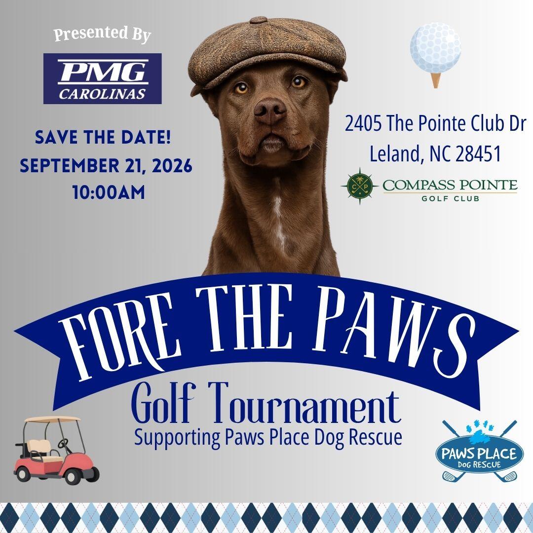 Campaign cover image for "Fore the Paws" Golf Tournament
