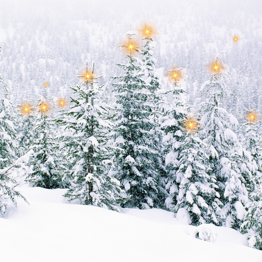 Campaign cover image for The 12 Donors of Christmas Winter Fundraiser