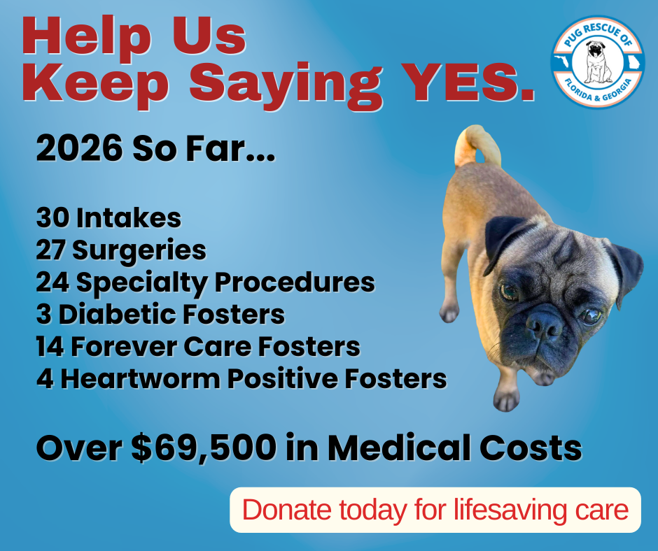 Campaign cover image for Help Us Keep Saying YES