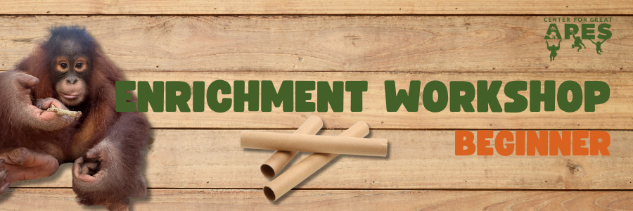 Campaign cover image for Enrichment Workshop - Beginner - June 6th