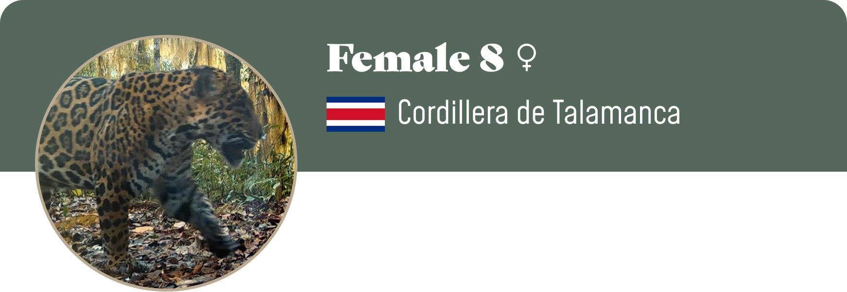 Campaign cover image for Adopt Female 8