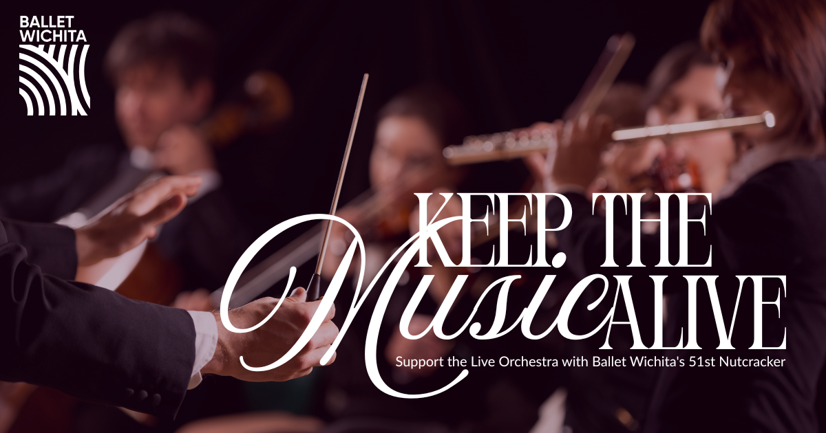 Campaign cover image for Keep the Music Alive!