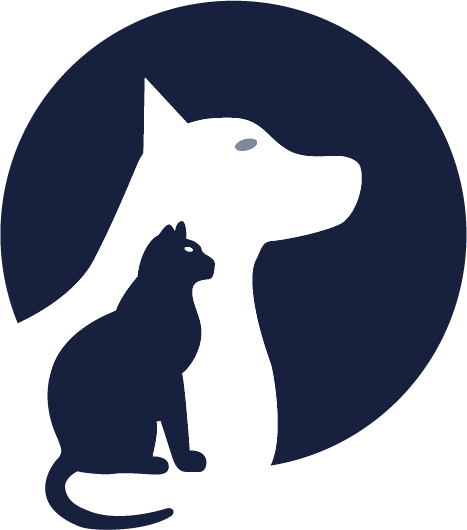 Campaign cover image for General Donations